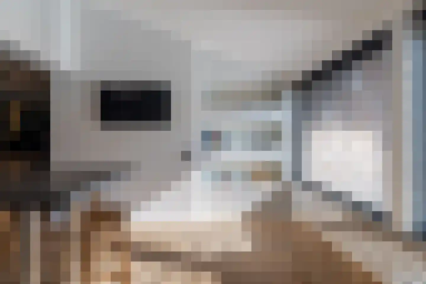 Nemelaer 3 Oosterhout thumbnail 33