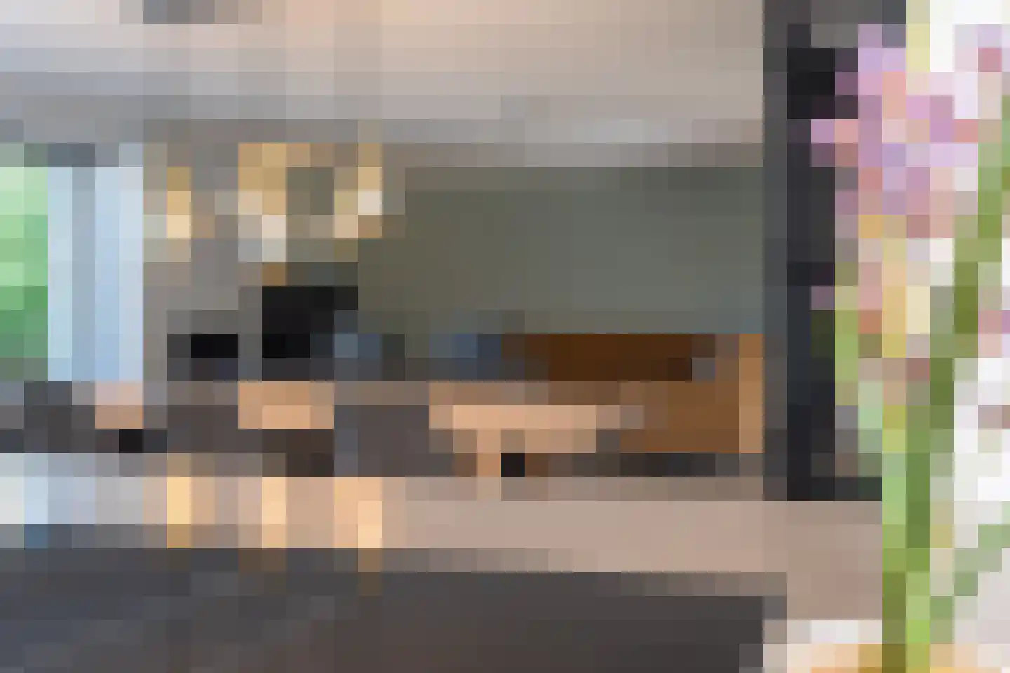 Nemelaer 3 Oosterhout thumbnail 34