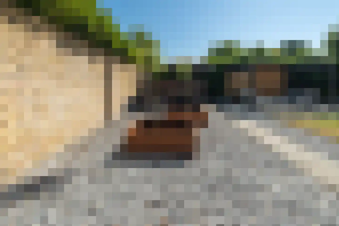 Nemelaer 3 Oosterhout thumbnail 53