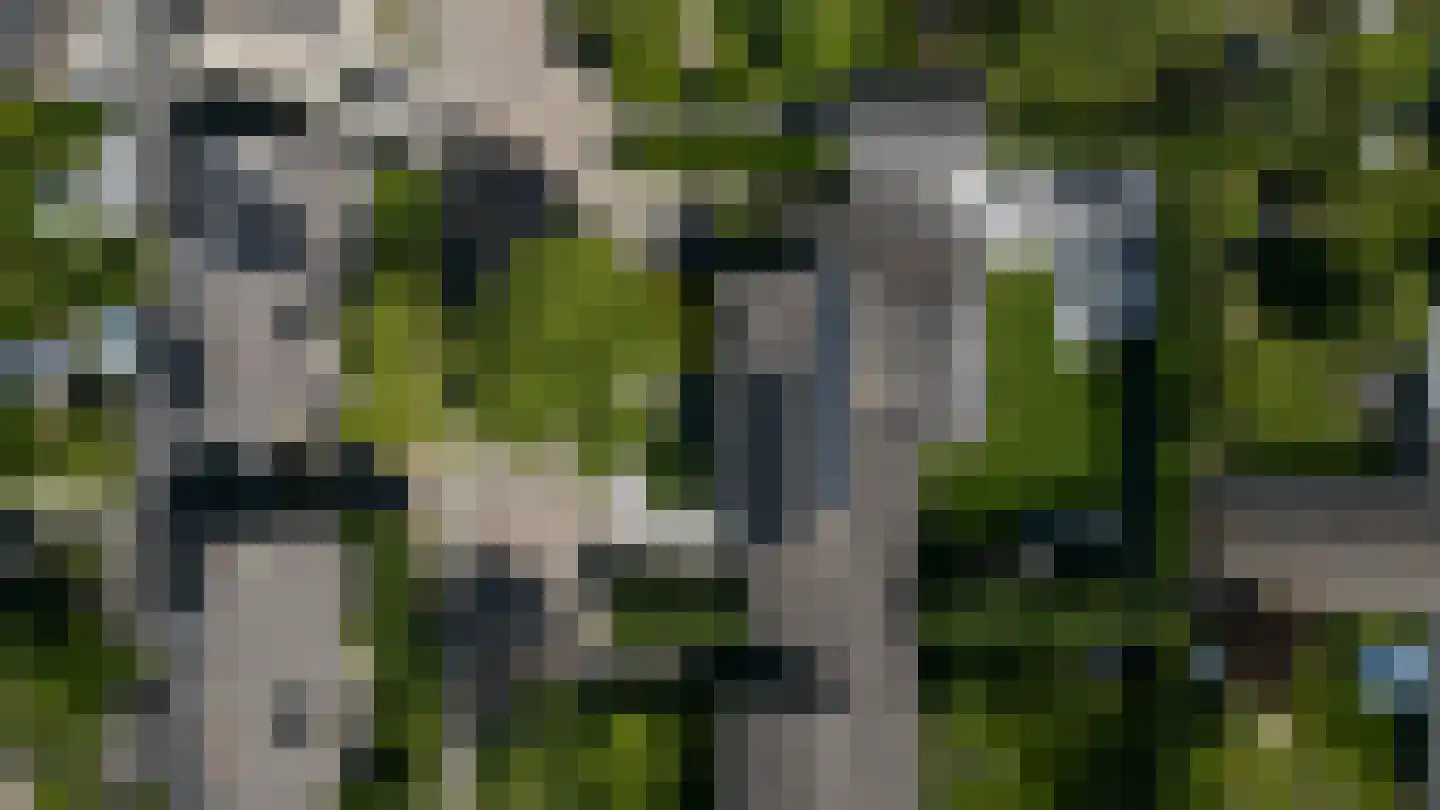Nemelaer 3 Oosterhout thumbnail 63