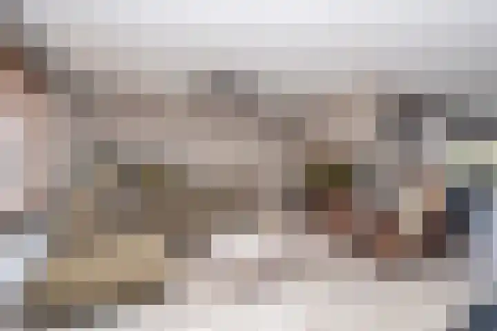 Nemelaer 6 Udenhout thumbnail 10