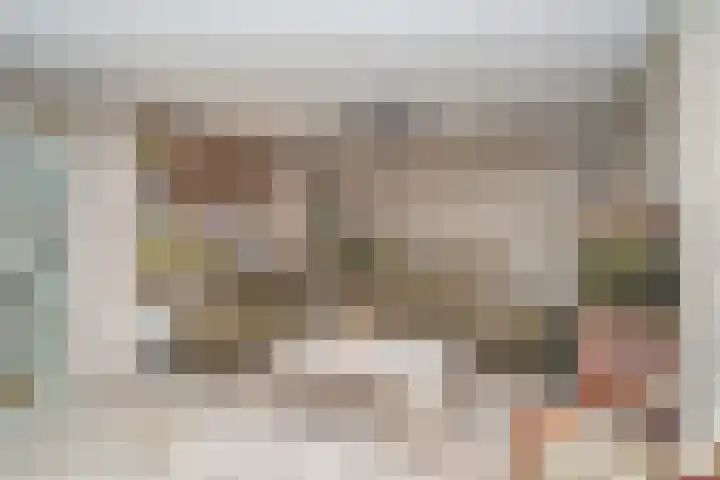 Nemelaer 6 Udenhout thumbnail 11