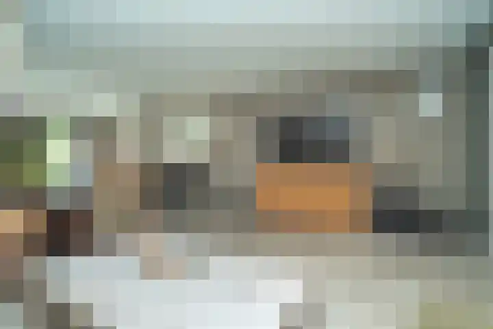 Nemelaer 6 Udenhout thumbnail 12