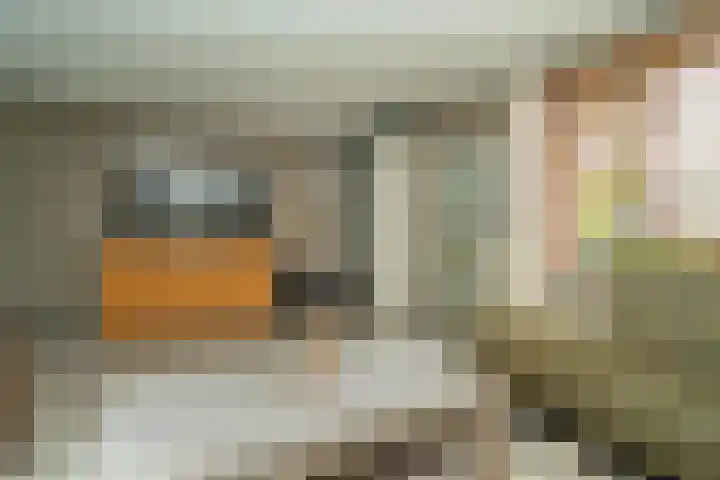 Nemelaer 6 Udenhout thumbnail 13