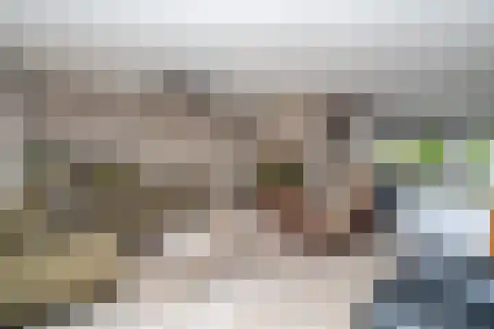 Nemelaer 6 Udenhout thumbnail 14