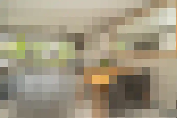 Nemelaer 6 Udenhout thumbnail 15