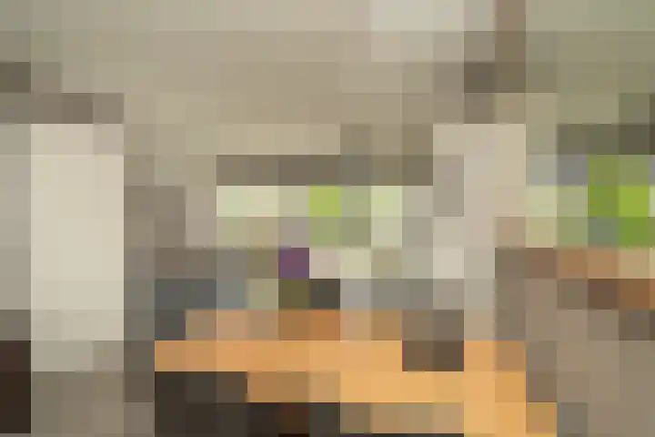 Nemelaer 6 Udenhout thumbnail 16