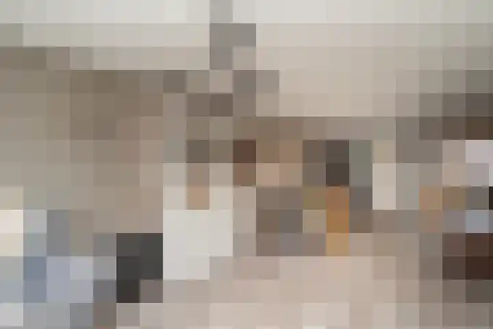 Nemelaer 6 Udenhout thumbnail 17