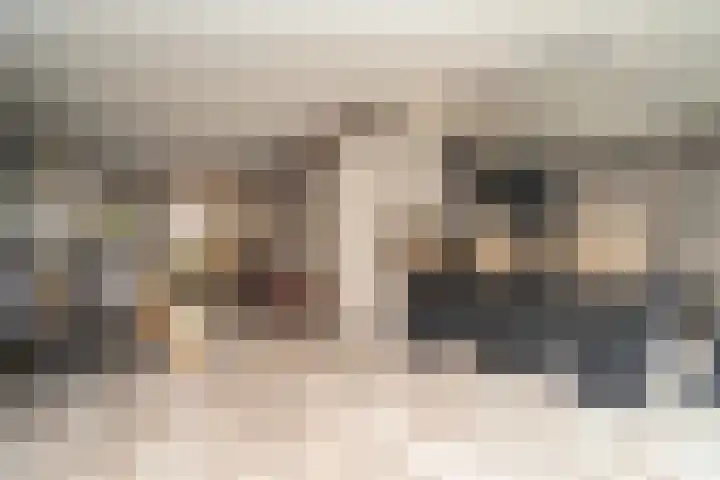 Nemelaer 6 Udenhout thumbnail 18