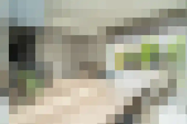 Nemelaer 6 Udenhout thumbnail 21