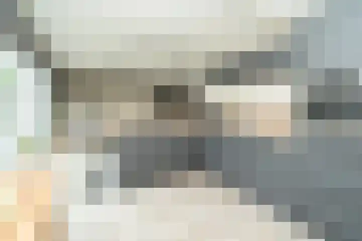 Nemelaer 6 Udenhout thumbnail 22
