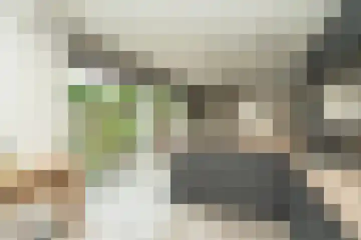 Nemelaer 6 Udenhout thumbnail 24
