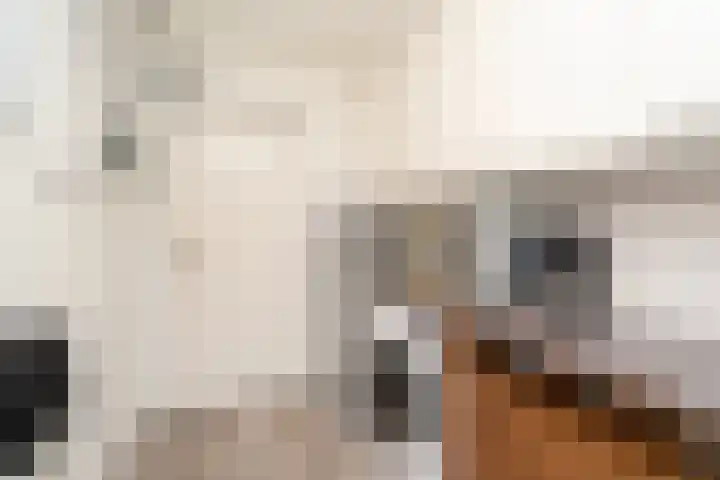 Nemelaer 6 Udenhout thumbnail 25