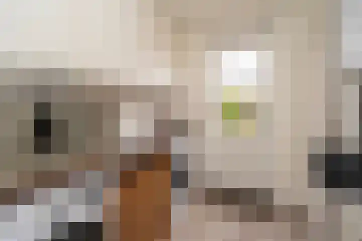 Nemelaer 6 Udenhout thumbnail 26