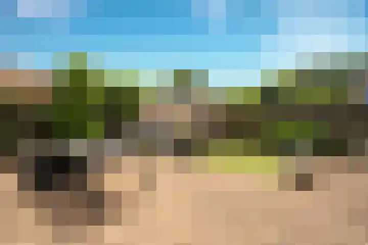 Nemelaer 6 Udenhout thumbnail 28