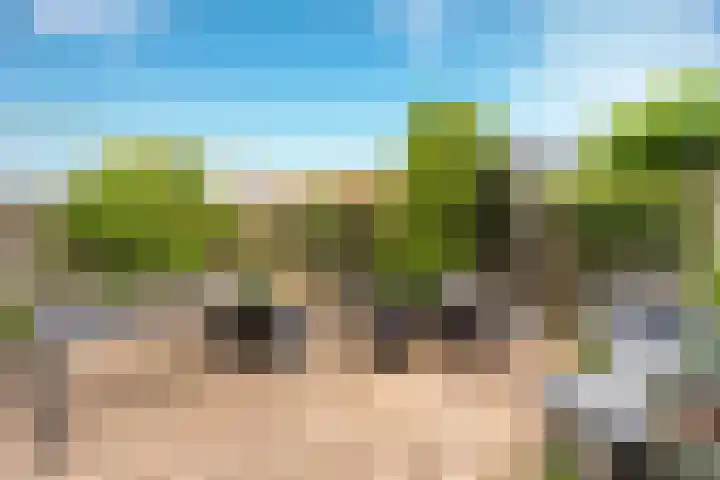 Nemelaer 6 Udenhout thumbnail 31