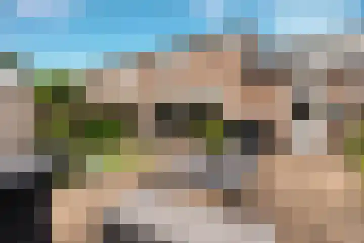 Nemelaer 6 Udenhout thumbnail 32