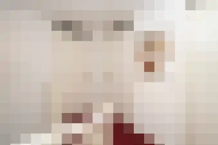 Nemelaer 6 Udenhout thumbnail 33