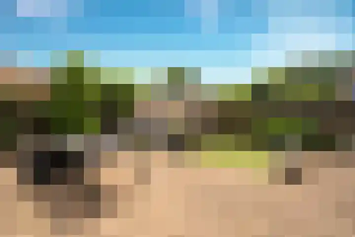 Nemelaer 6 Udenhout thumbnail 4