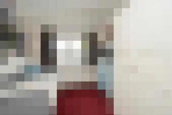 Nemelaer 6 Udenhout thumbnail 42