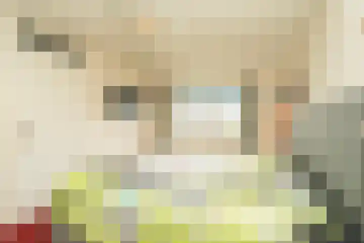 Nemelaer 6 Udenhout thumbnail 46