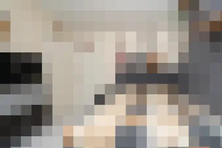 Nemelaer 6 Udenhout thumbnail 49