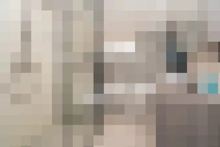 Nemelaer 6 Udenhout thumbnail 5