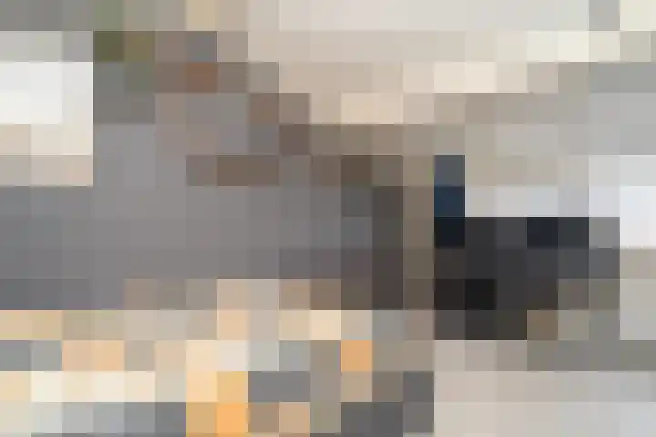 Nemelaer 6 Udenhout thumbnail 51