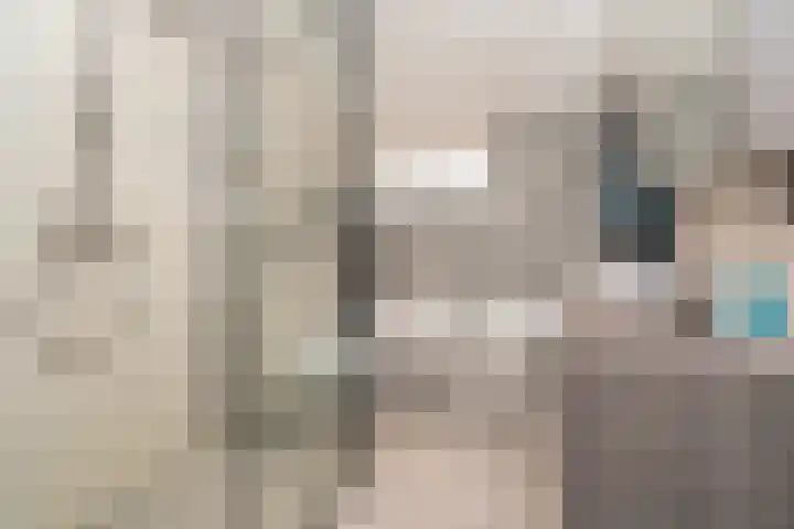 Nemelaer 6 Udenhout thumbnail 52