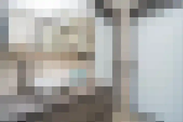 Nemelaer 6 Udenhout thumbnail 56