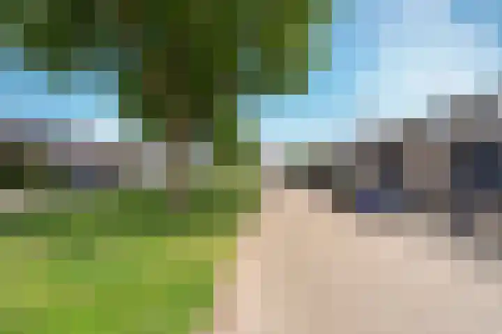 Nemelaer 6 Udenhout thumbnail 6