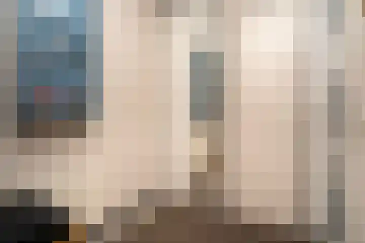 Nemelaer 6 Udenhout thumbnail 9