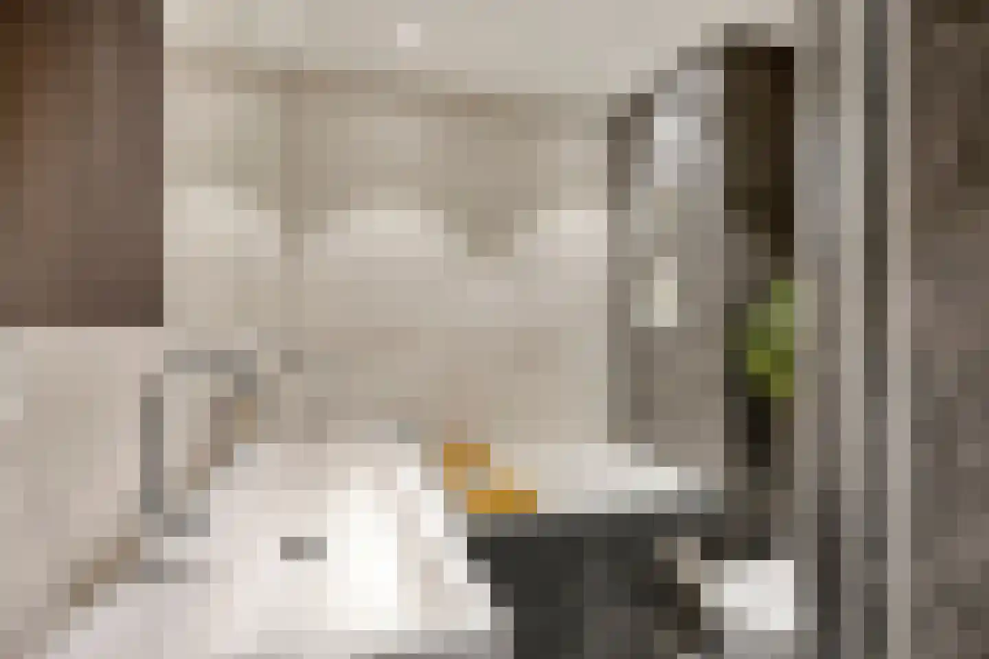 Nemelaerlaan 14 Spijkenisse thumbnail 17