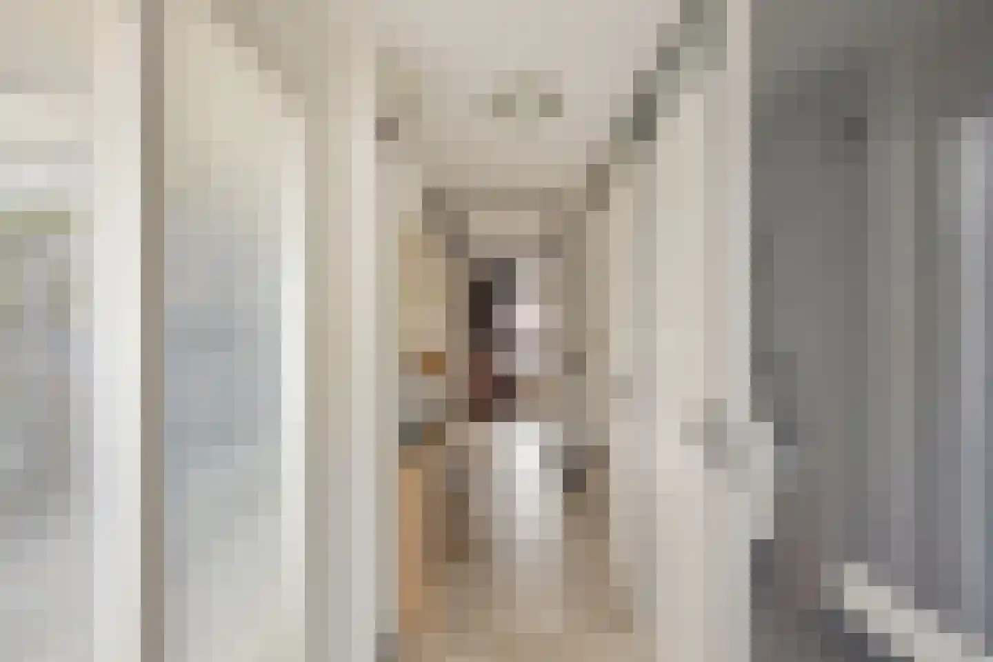 Nemelaerlaan 14 Spijkenisse thumbnail 19