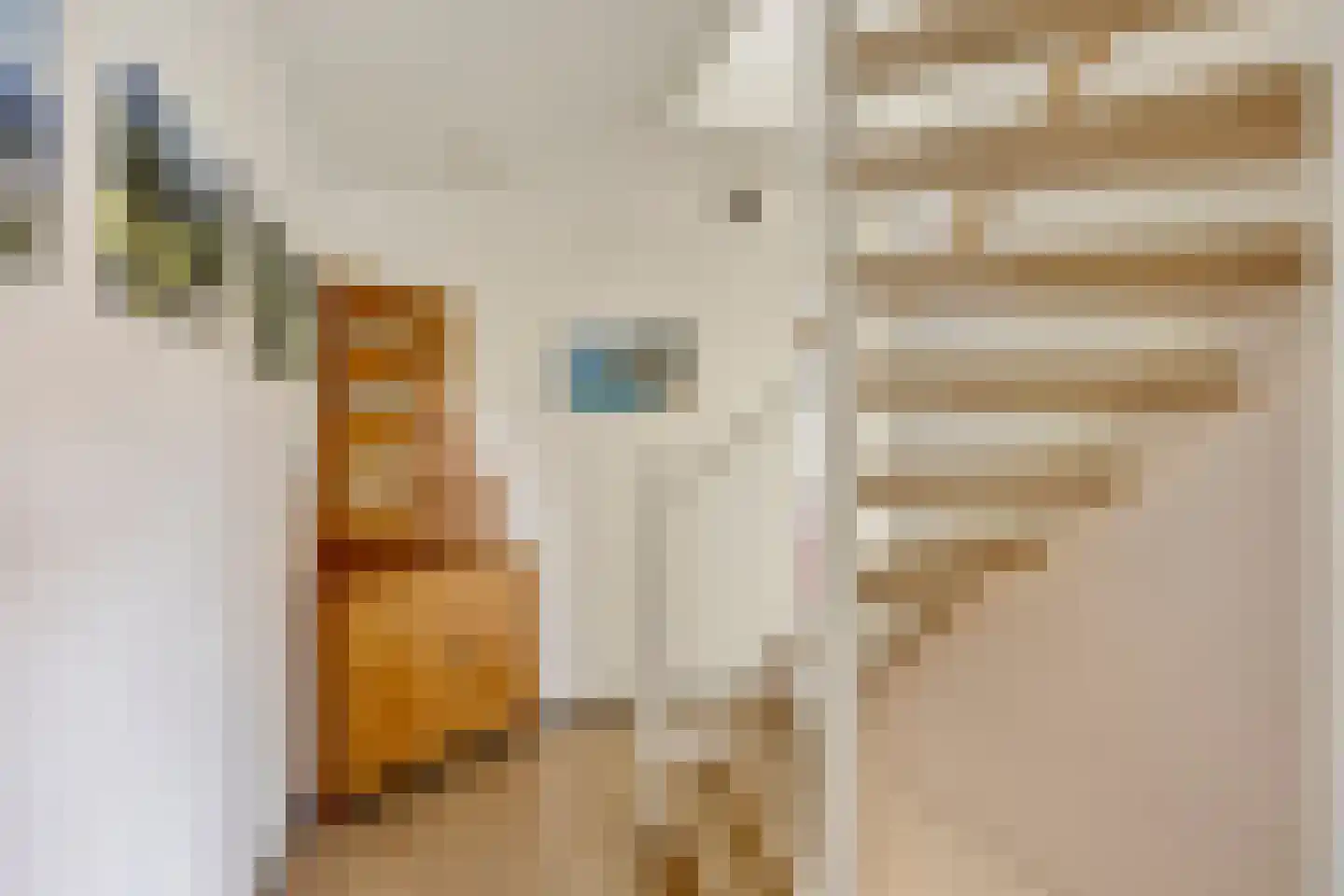 Nemelaerlaan 14 Spijkenisse thumbnail 21