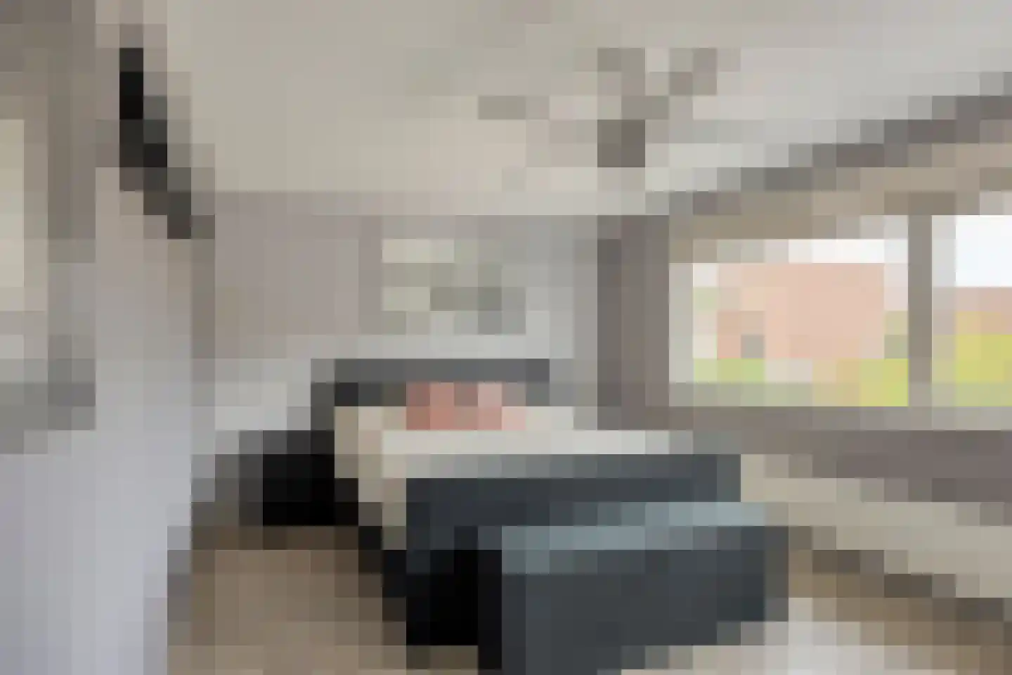 Nemelaerlaan 14 Spijkenisse thumbnail 22