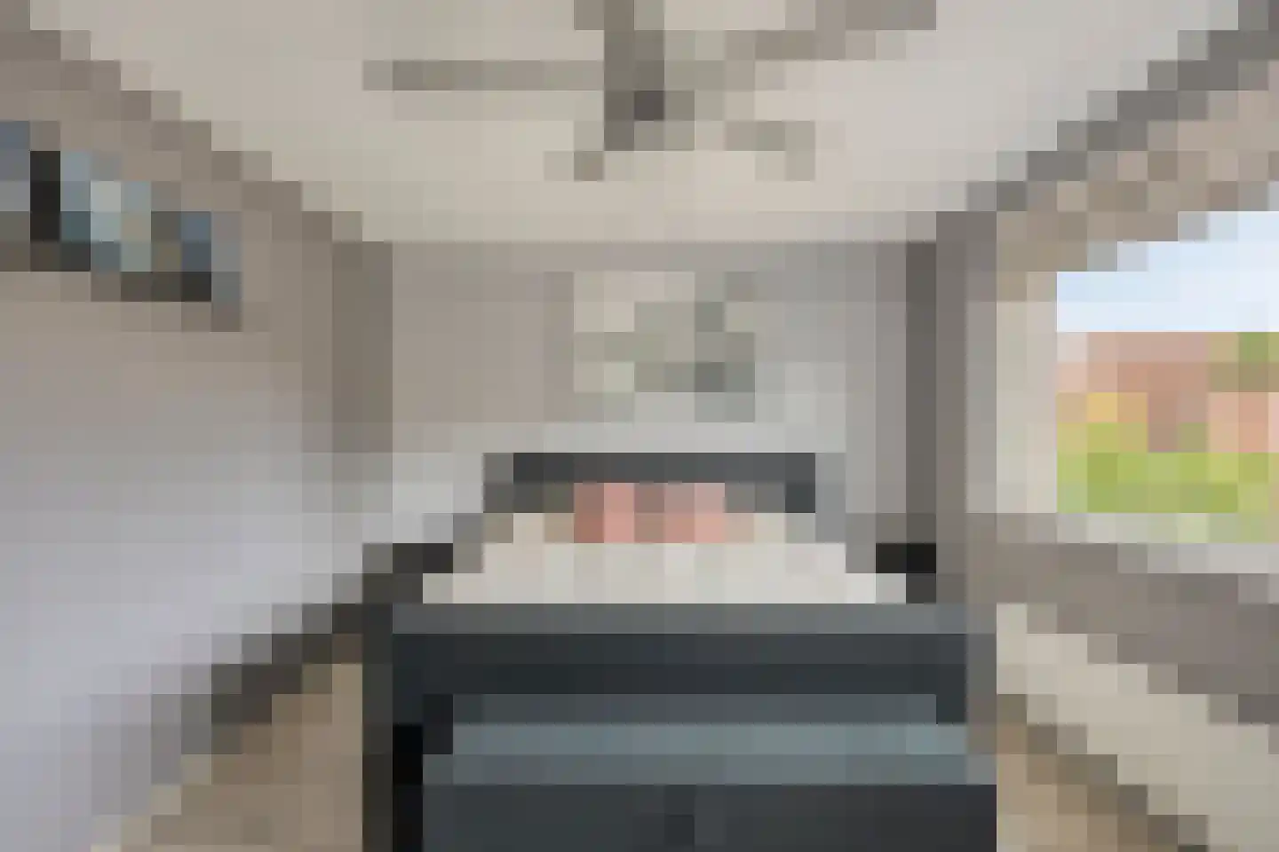 Nemelaerlaan 14 Spijkenisse thumbnail 23