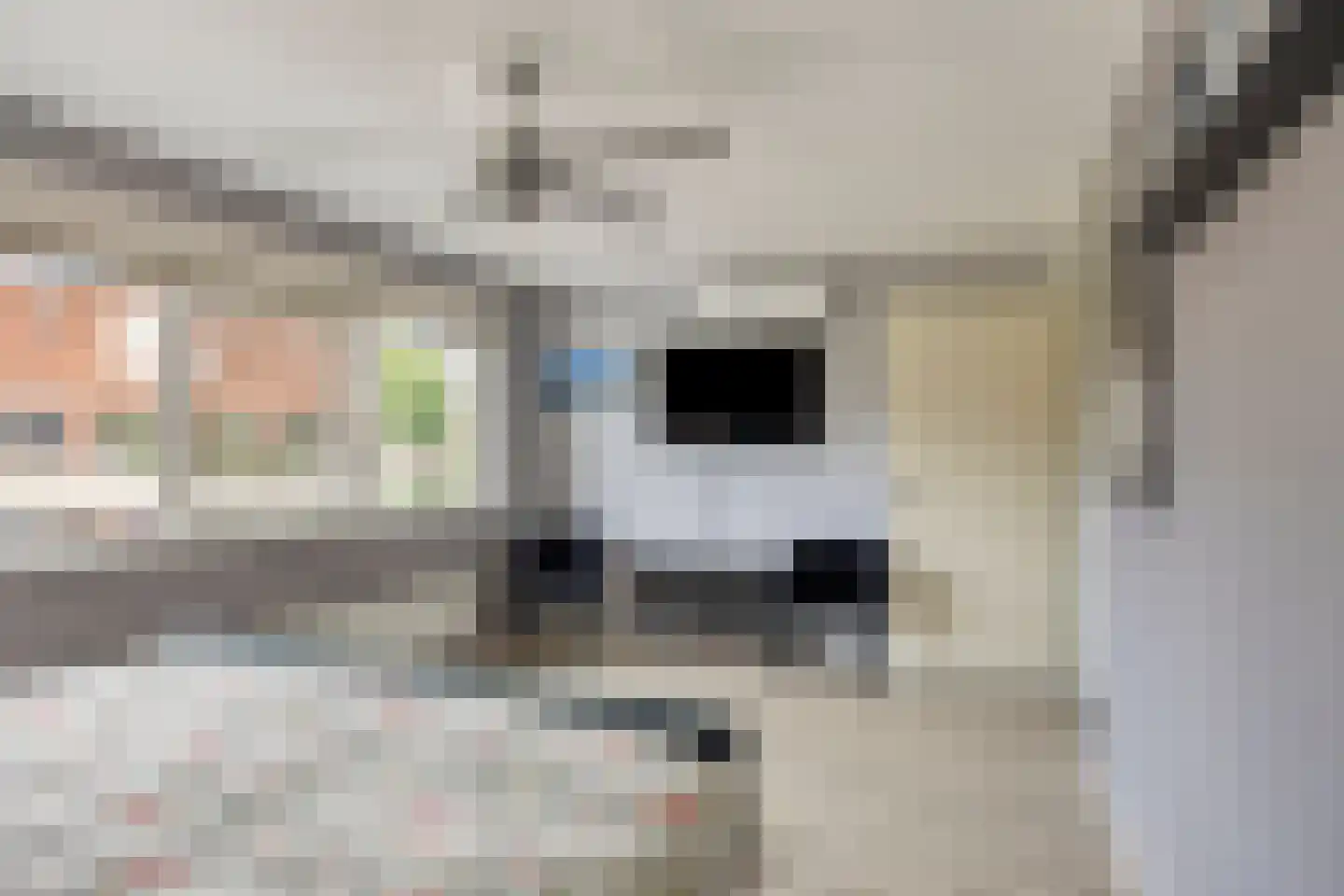 Nemelaerlaan 14 Spijkenisse thumbnail 24