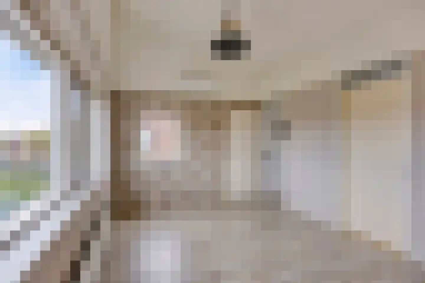 Nemelaerlaan 14 Spijkenisse thumbnail 32