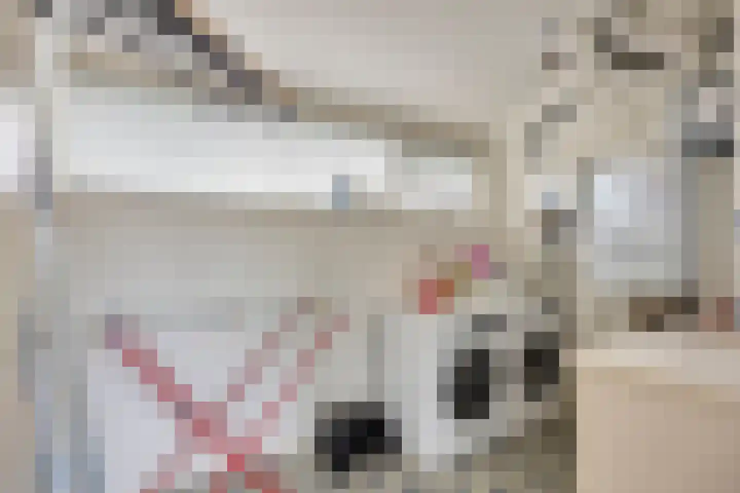 Nemelaerlaan 14 Spijkenisse thumbnail 33