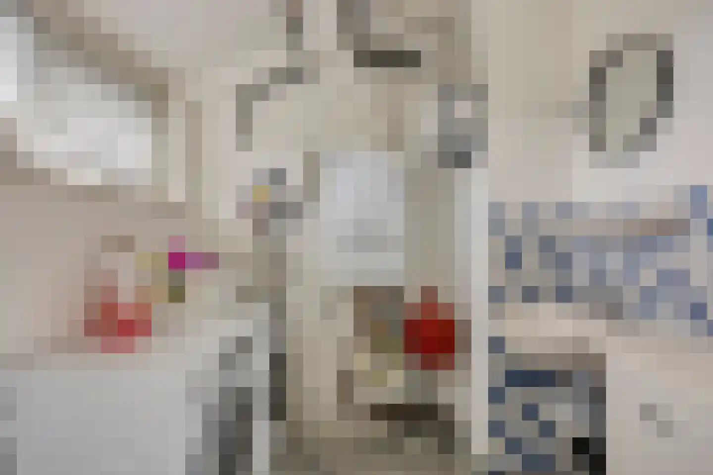 Nemelaerlaan 14 Spijkenisse thumbnail 34