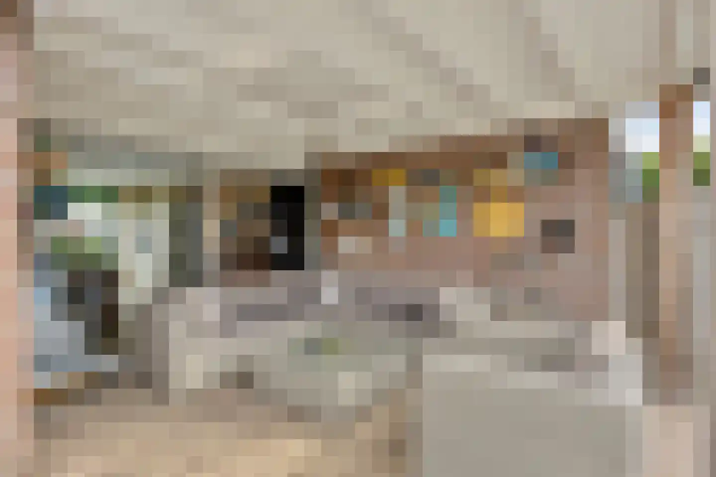 Nemelaerlaan 14 Spijkenisse thumbnail 35