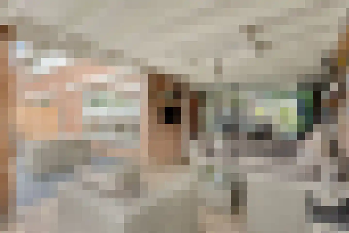 Nemelaerlaan 14 Spijkenisse thumbnail 36