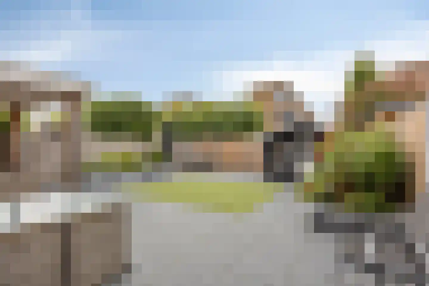 Nemelaerlaan 14 Spijkenisse thumbnail 41