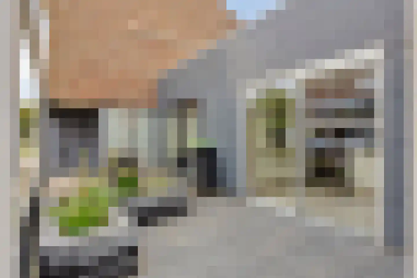 Nemelaerlaan 14 Spijkenisse thumbnail 42