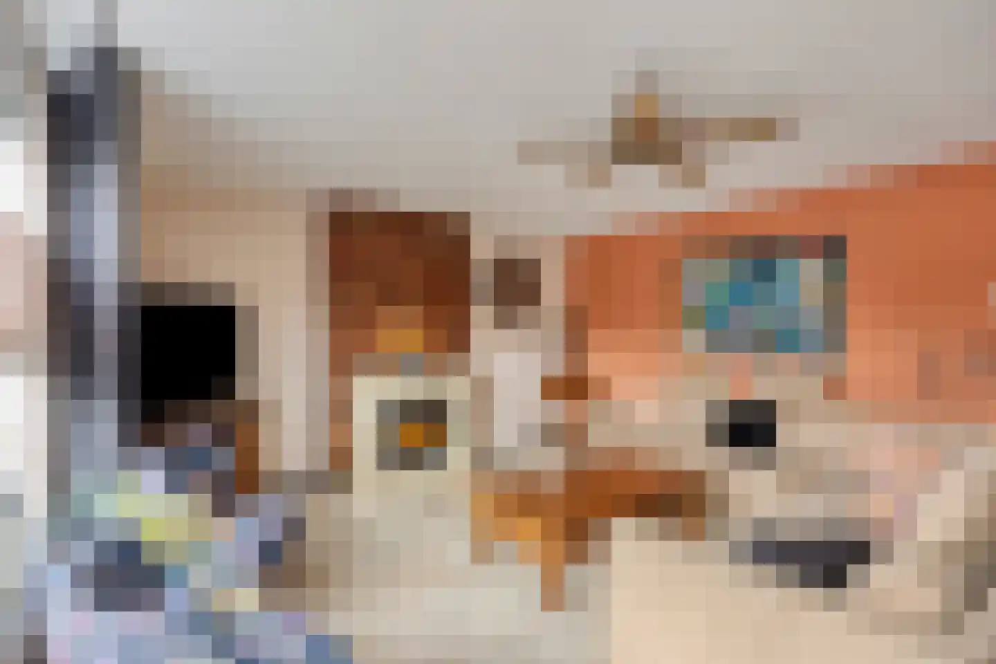 Nemelaerlaan 14 Spijkenisse thumbnail 5