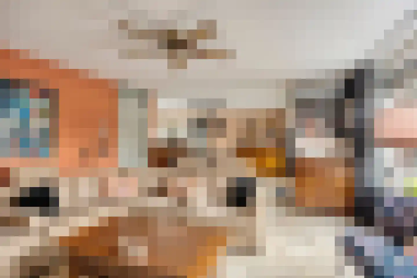 Nemelaerlaan 14 Spijkenisse thumbnail 7