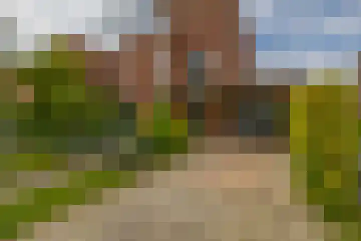Nemelaerlaan 7 Spijkenisse thumbnail 10