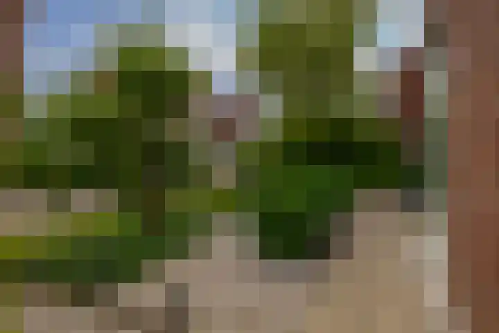 Nemelaerlaan 7 Spijkenisse thumbnail 13