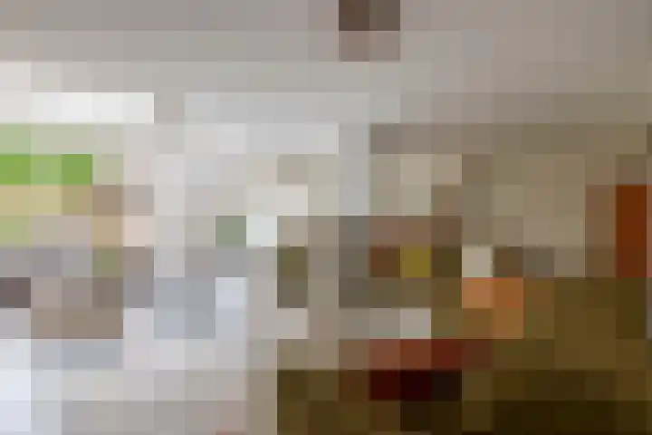 Nemelaerlaan 7 Spijkenisse thumbnail 16